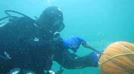 underwater pumpkin carving