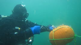Underwater pumpkin carving 2