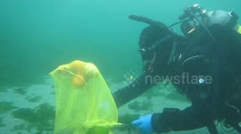 underwater pumpkin carving