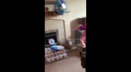 Dog growling at birthday balloons