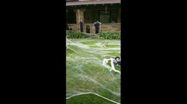 My school is so ready for #Halloween and I'm here for it! https://t.co/jf4ufK2pbM