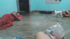 The dog wants to sleep with the owner but fails