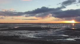 Sunset & Pheasant Snettisham Norfolk Coast  29oct18 422p