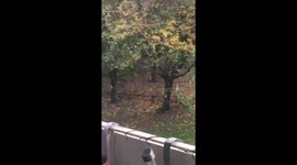 Snowing in Walsall ?? ???? #Walsall #westmidlands #ukweather #snow https://t.co/oNmluR4F6L