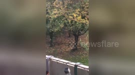 Newsflare Edit - Snowing in Walsall ?? ???? #Walsall #westmidlands #ukweather #snow https://t.co/oNmluR4F6L