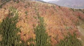Autumn in Martin , Slovakia
