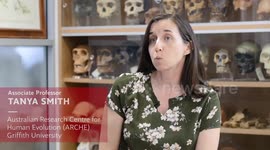 Lead poisoning found in teeth of Neanderthal children who lived 250,000 years ago