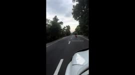 Market seller rides motorcycle while balancing cargo of fish on his head