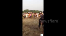Horse loses control and tramples over crowd of spectators