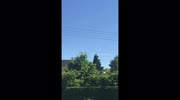temp