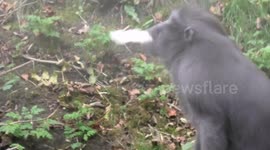 When You Had Too Many At The Party