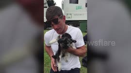 Dog who befriended EastEnders stars crowned Britain's most handsome crossbreed