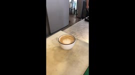 Professional barista