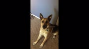 temp