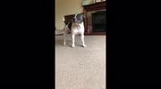temp