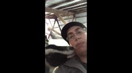 Goat kisses