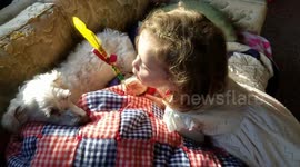 Little Girl Sings to Her Dog