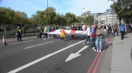 the democratic football lads alliance  DLFA