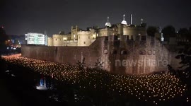 10,000 flames lit at Tower of London to mark 100 years since end of first world war