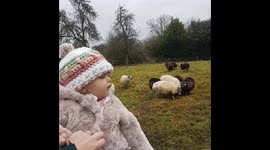 Animal crazy toddler