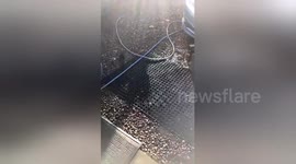 Newsflare Edit - Just cleaned your motor aye ? https://t.co/qgtwzLXBQJ