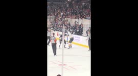 Hockey Fight