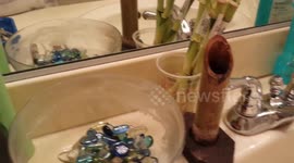 Sharing DIY Indoor Bamboo Fountain