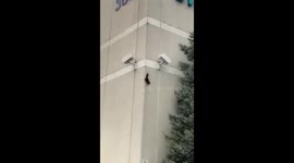 What kind of squirrel is this?