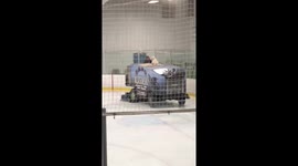 Patient doggo catches a ride on the olympia!