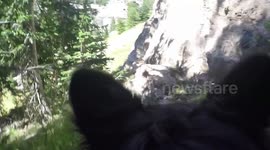 Riding on the back of a corgi dog in the mountains