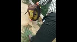 Shocking moment 5-feet-long cobra drops out of school bag