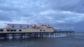 Starlings of Aberystwyth