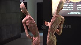 Barcelona: human bodies exhibition