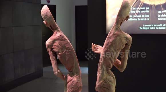 Barcelona: human bodies exhibition