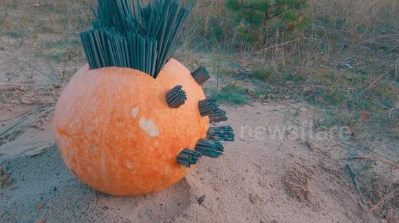 1000 SPARKLERS VS PUMPKIN. Crazy pumpkin experiment