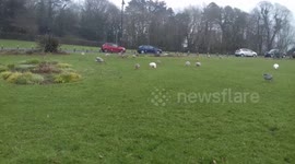 Snowing In Town of Caerphilly