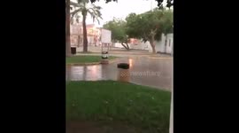 Bahrain - Muharraq - A severe storm led to the fall of a giant tree