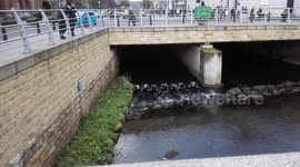 Northwest underwater and marine search team