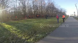 illegal collection of autumn leaves - killing nature for money