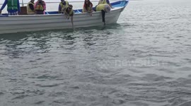 Mexico whale encounter RAW 1