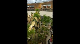 Flower expo in taiwan