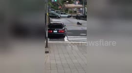 Reckless driver arrested by six cops for doing donuts on busy road