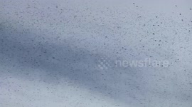 Starlings perform a spectacular murmuration in Gretna Green