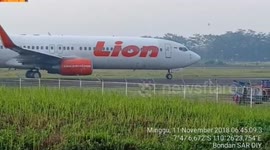 Planes halted on runway at Indonesian airport by invasion of birds