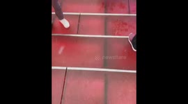 First snow of the season in NYC!