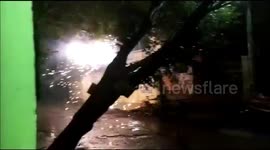 11 dead in Cyclone Gaja India