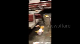 Brook lost and destroyed whataburger. ?????????????????????? https://t.co/DO4Em3fxAX