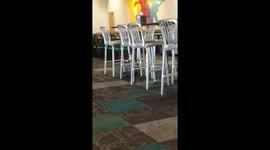 When you have a love hate relationship with Chuck e the mouse