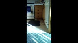 When your Brakes don't work!!!