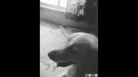 My stress reliever...